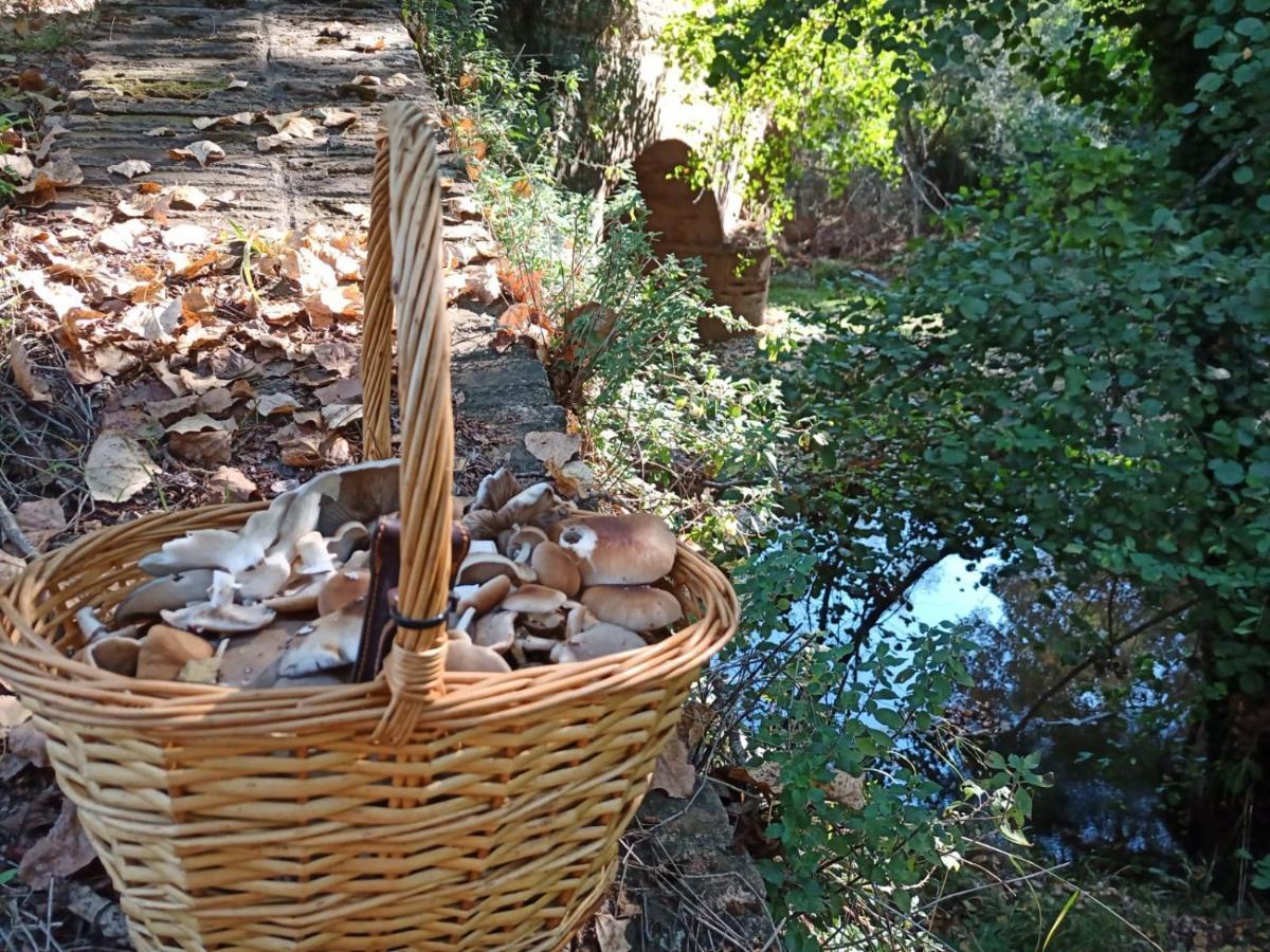 Casa Monte Los Penasquitos Касала де ла Сиера Екстериор снимка